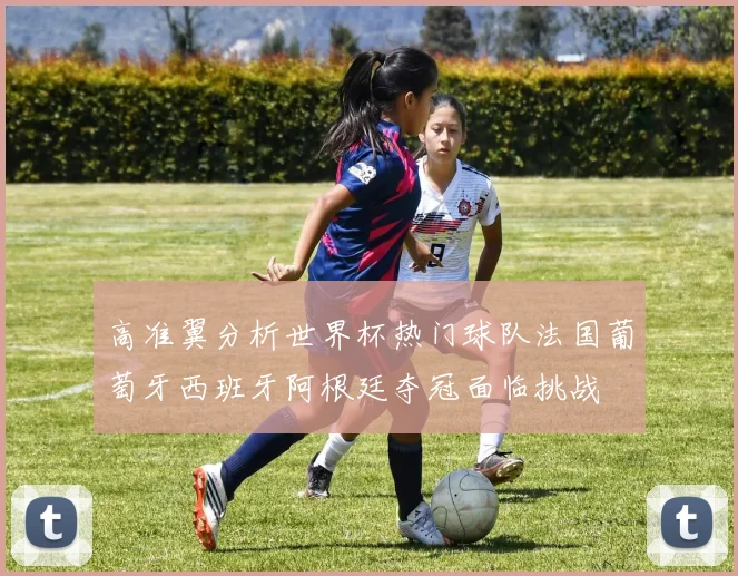 高准翼分析世界杯热门球队法国葡萄牙西班牙阿根廷夺冠面临挑战